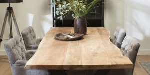 Boomstamtafel Natuur