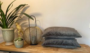 Kussen Velvet Adore Hunter 50x50cm