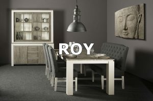 Roy